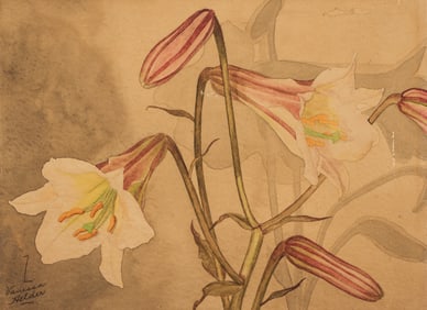 Zama Vanessa Helder ''Lilies'' Watercolor