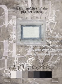 Dennis Evans ''The Anatomies of the Perfect Letter''