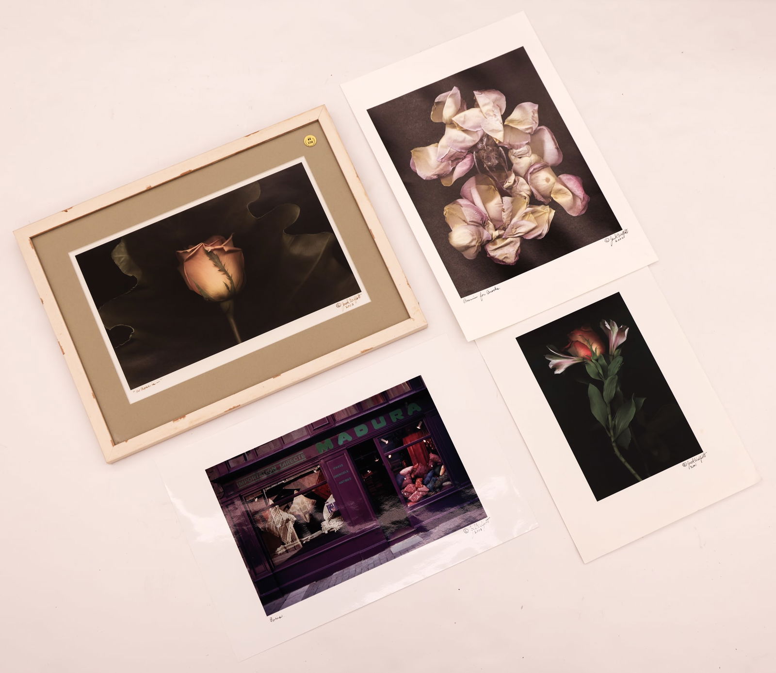 4pc Jack Welpott ''Flower and Paris'' C-Prints: 4pc Jack Welpott (1923-2007 American) ''Flower and Paris'' C-Prints Color Photographs 9''x15'' Images Approx. Includes ''A Rose is -'', ''Requiem for Brooke'', ''Paris'' and ''Untitled'' (Rose). Ink s