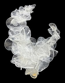 Martin Blank ''Steam Portrait'' (Study) 2011 Glass
