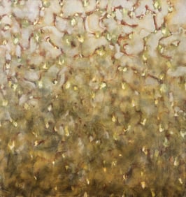 Steven Baris ''Untitled'' (Abstraction) Large Oil