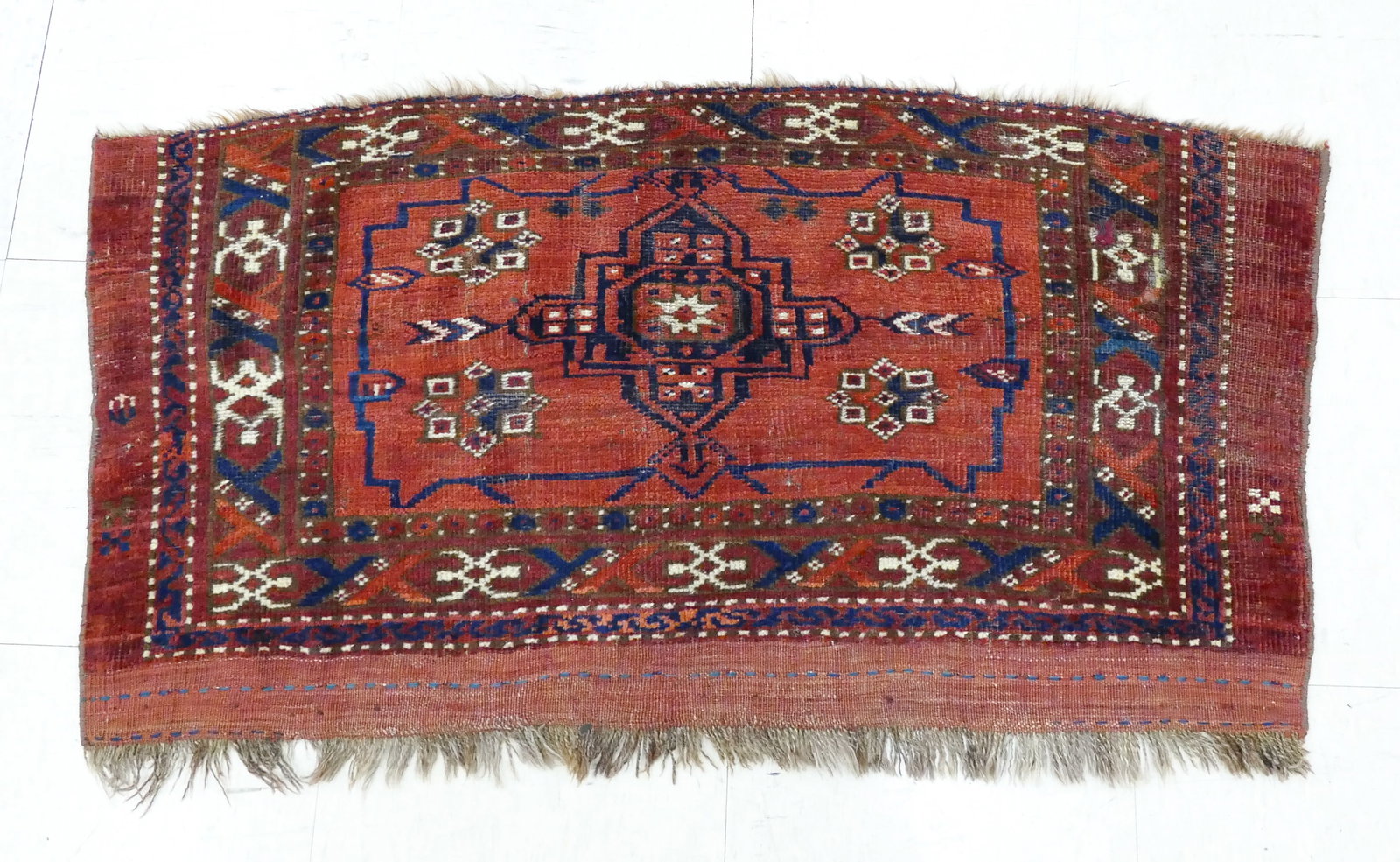 Persian Oriental Bagface (1 of 3)