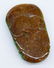 Chinese Carved Green & Brown Jade Dragon Pendant 3''x2' - 2
