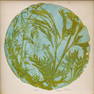 Rose Clark Signed Artist's Proof Etching