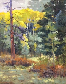 Kevin Macpherson "Sun Spots" (Landscape) Oil on Canvas