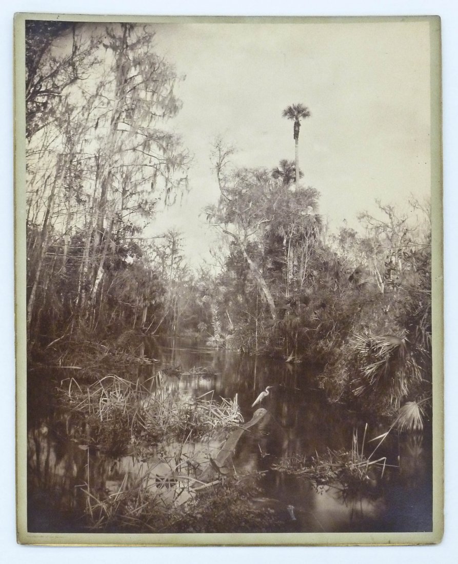 George Barker (1844-1894 American) Florida Everglades A: George Barker (1844-1894 American) Florida Everglades Albumen Photograph 20"x16" Image. Mounted to board 21"x17". Dated 1888 with blind stamp l.r. Indentation to bottom left region.