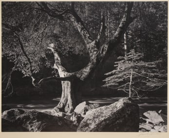 Ansel Adams "Morning, Merced River Canyon. Yosemite" Gelatin Silver Print