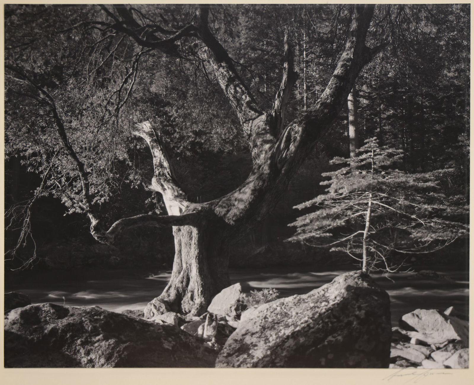Ansel Adams "Morning, Merced River Canyon. Yosemite" Gelatin Silver Print (1 of 4)