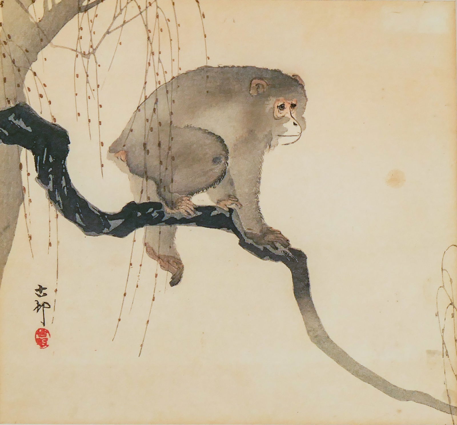 Ohara Koson "Monkey on a Branch" Woodblock Print Framed: Ohara Koson "Monkey on a Branch " Woodblock Print Framed 14 "x14 ". A few light foxing spots. Overall excellent condition. Not examined outside of framing.