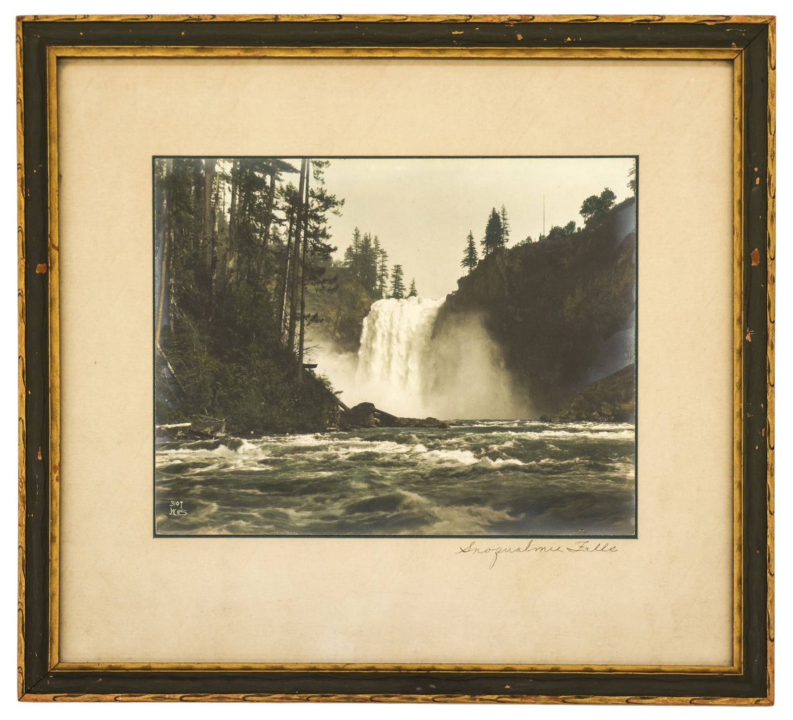 Antique Webster & Stevens "Snoqualmie Falls" Tinted Photograph - 2