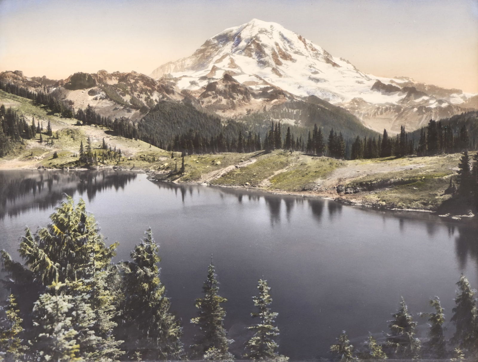 Asahel Curtis "Mount Rainier" Tinted Photograph: Asahel Curtis (1874-1941 Washington) "Mount Rainier" Tinted Photograph 11"x14" Image. Plate signed lower left with negative number 61478. Original gilt piecrust framing 14"x17". Excellent condition.