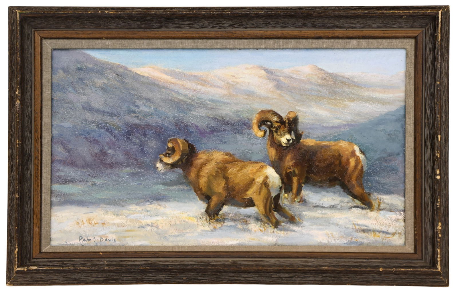 Pam Davis "Dall Sheep, Alaska" Oil on Masonite - 2
