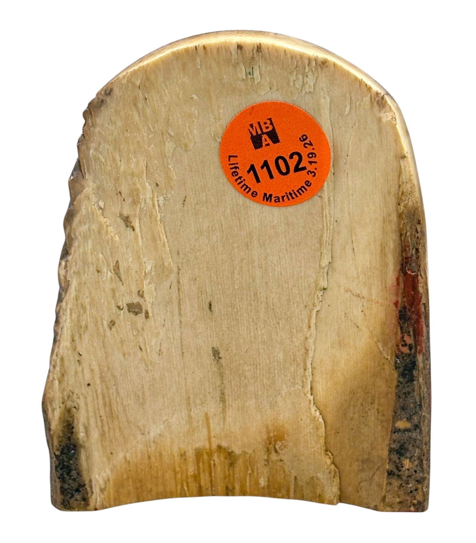 B. Hergert "Lord Nelson" 1993 Admiral Nelson Scrimshaw - 2