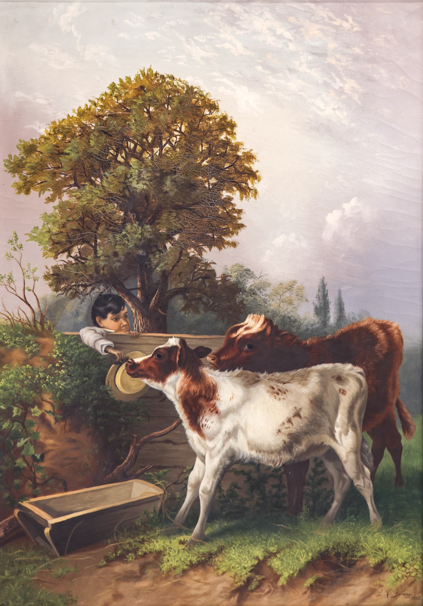 Louis C. Young "The Young Calf" 1885 Oil on Canvas: Louis C. Young (1864-1915 American) "The Young Calf" 1885 Oil on Canvas 34"x24" Image. Signed and dated l.r. Period ornate gilt framing 51"x41". It has a 2.5" patch repair and puncture in the upper le