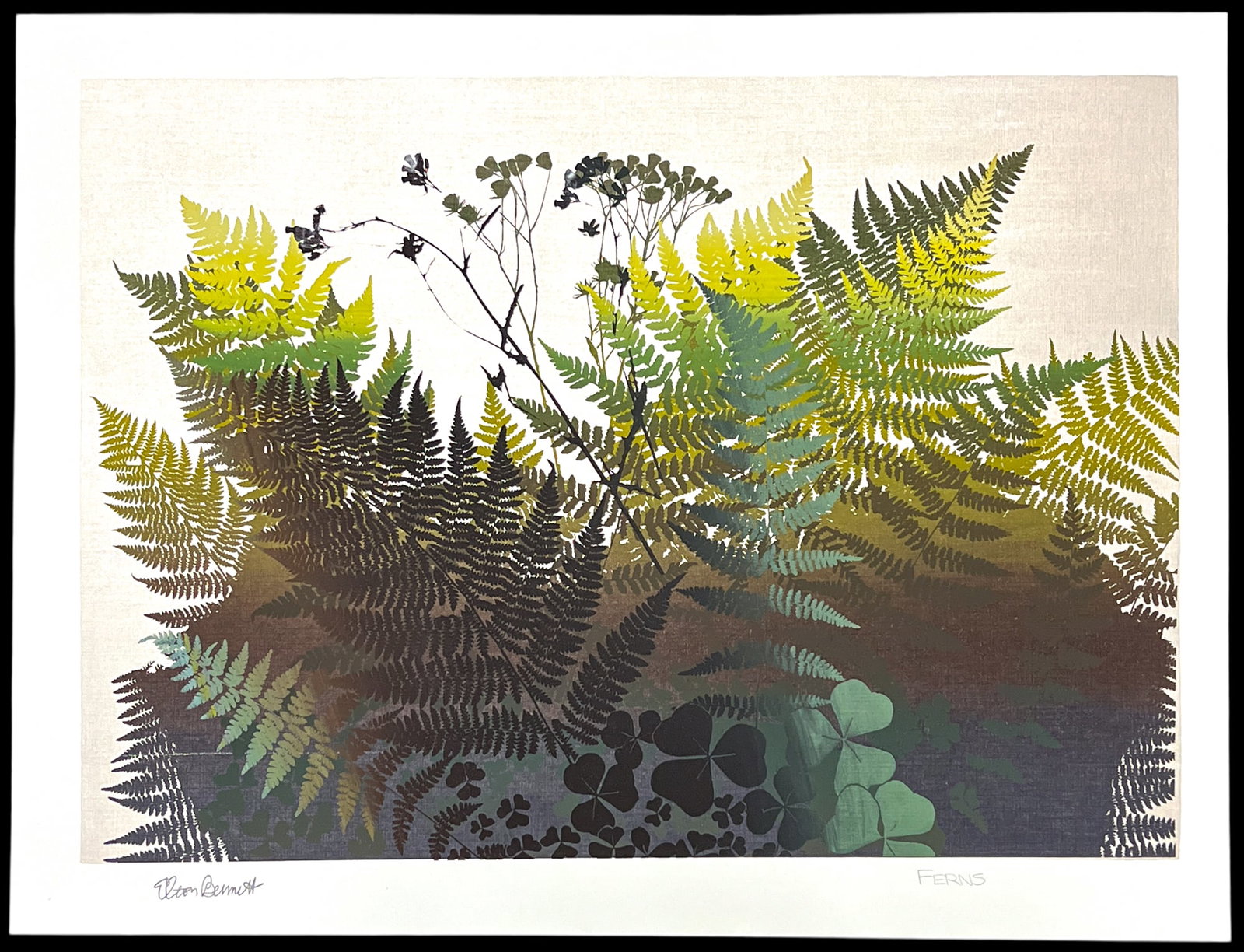 Elton Bennett "Ferns" Serigraph - 2