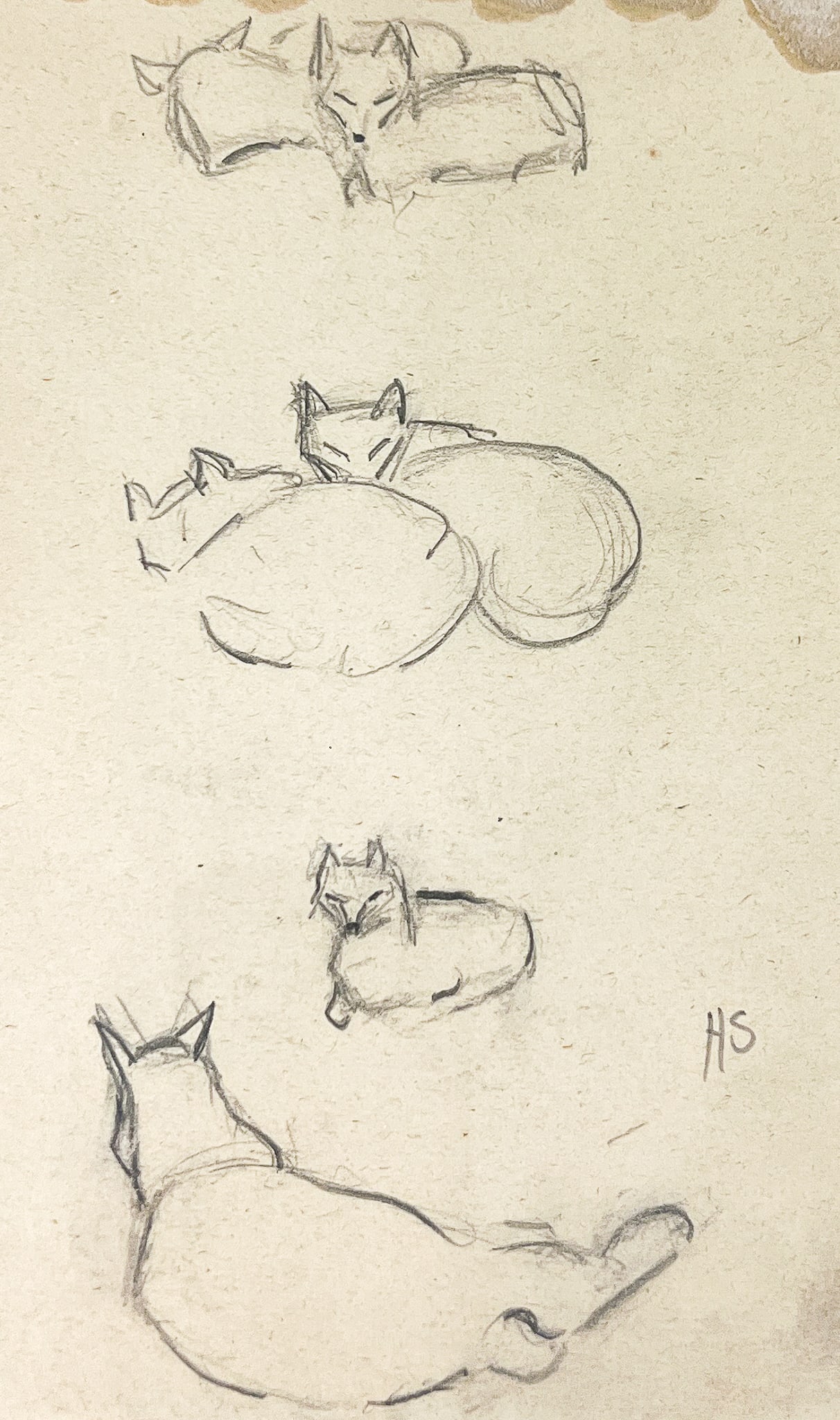 Howard Sewall "Foxes" Graphite on Paper (1 of 2)