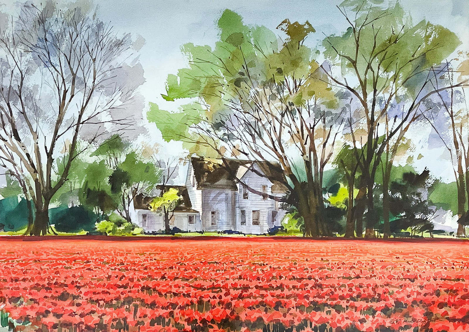 Ken Duffin "Red Field" 1987 Watercolor on Paper (1 of 2)