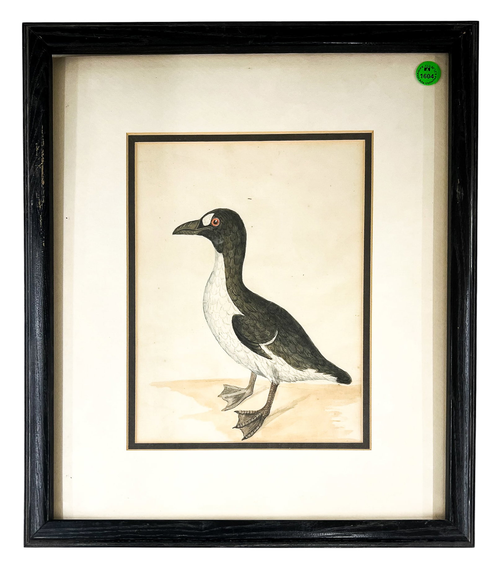 Artist Unknown "Auk" Gouache on Paper - 2