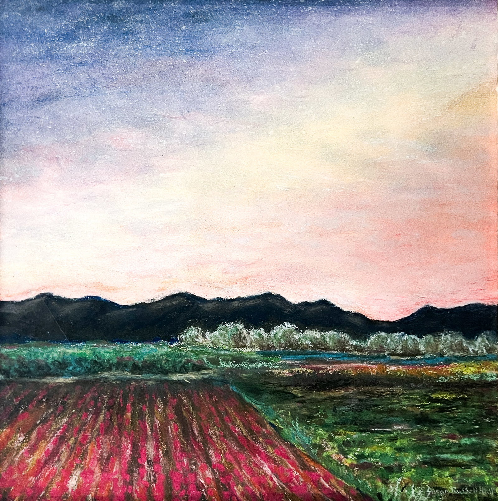 Susan Russell Hall "Skagit Valley" Pastel on Paper: Susan Russell Hall (20th/21st Cent. Washington) "Skagit Valley" Pastel on Paper 10.75"x10.75" Image 21"x17" Framed. Signed lower right. Excellent condition, not examined outside of framing.