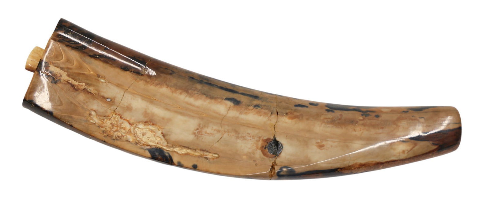 Antique Inuit Eskimo Fossilized Mammoth Cribbage Board - 2