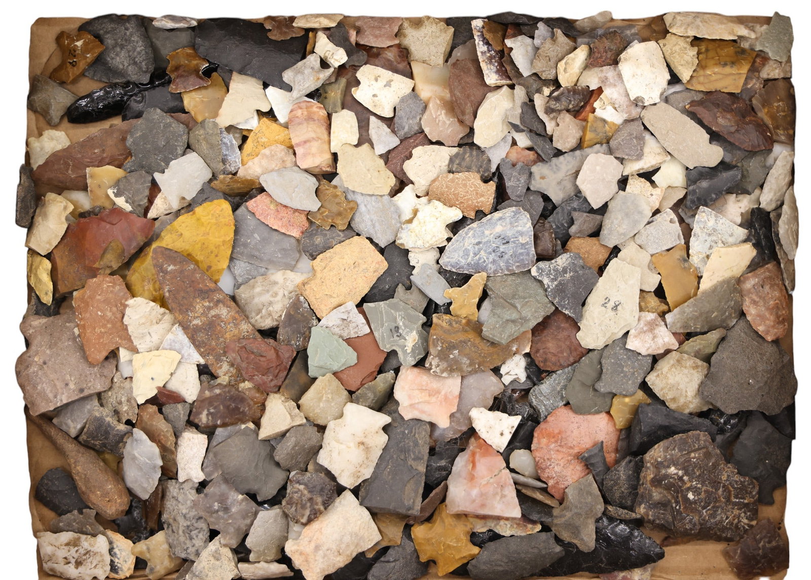 Lifetime Collection of Old Native American Found Arrowheads and Implements - 2