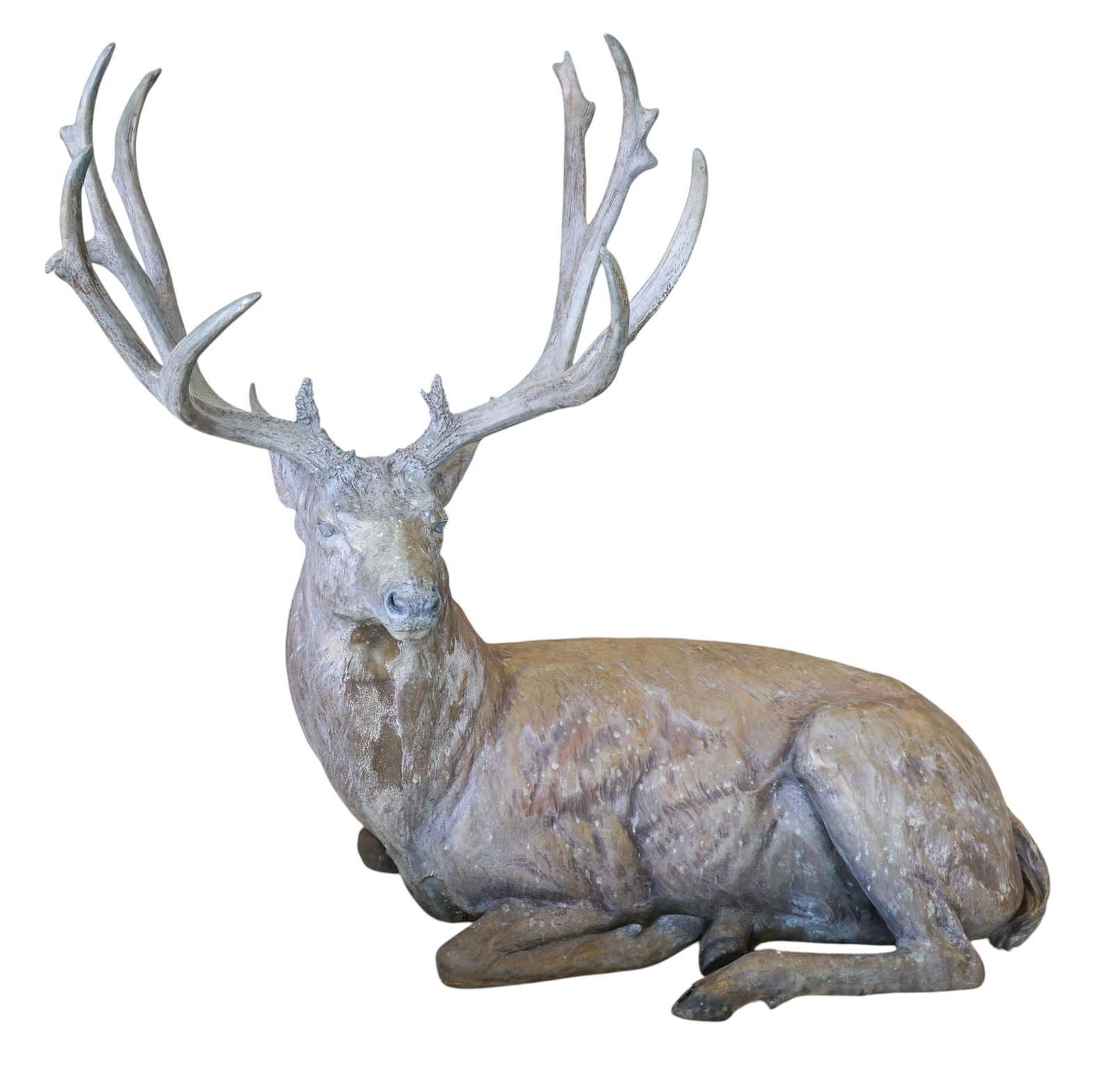 Rip Caswell "Monumental Seated Elk" 1995 Bronze Sculpture: Rip Caswell (b.1962 Oregon) "Monumental Seated Elk" 1995 Bronze Sculpture 48"x56". Signed and numbered 12 of 33 edition. Overall surface wear from being displayed outdoors. It weighs 175 pounds.