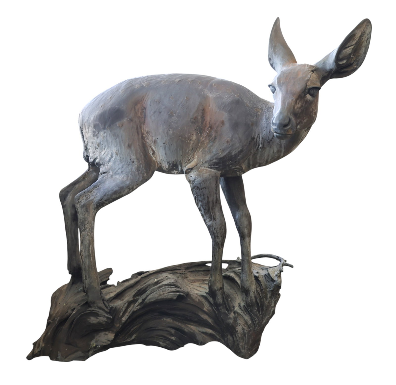 Veryl Goodnight "The Newcomer" (Fawn) 1991 Large Bronze Sculpture: Veryl Goodnight (b.1947 Colorado) "The Newcomer" (Fawn) 1991 Large Bronze Sculpture 34"x38". Signed and numbered 7 of 25 edition. Heavy surface wear from being displayed outdoors. It weighs 106