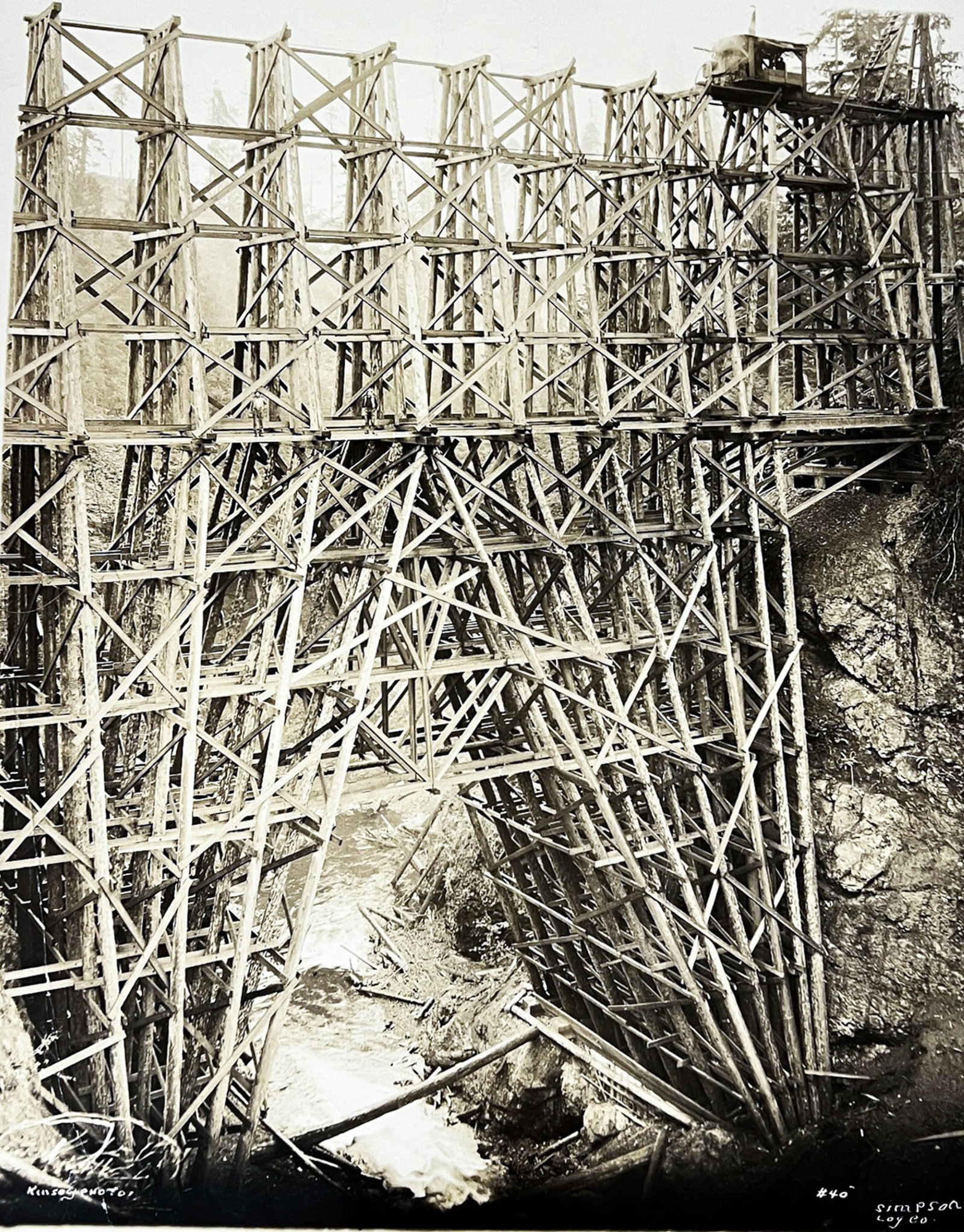 Darius Kinsey "Simpson Log Co." Photograph: Darius Kinsey (1869-1945 Washington) "Simpson Log Co." Photograph 14"x11" Sheet. Loose, unframed. Signed lower left and numbered 40. Creasing throughout.
