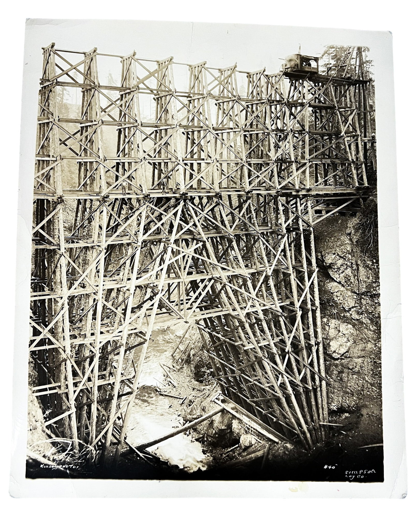 Darius Kinsey "Simpson Log Co." Photograph - 2
