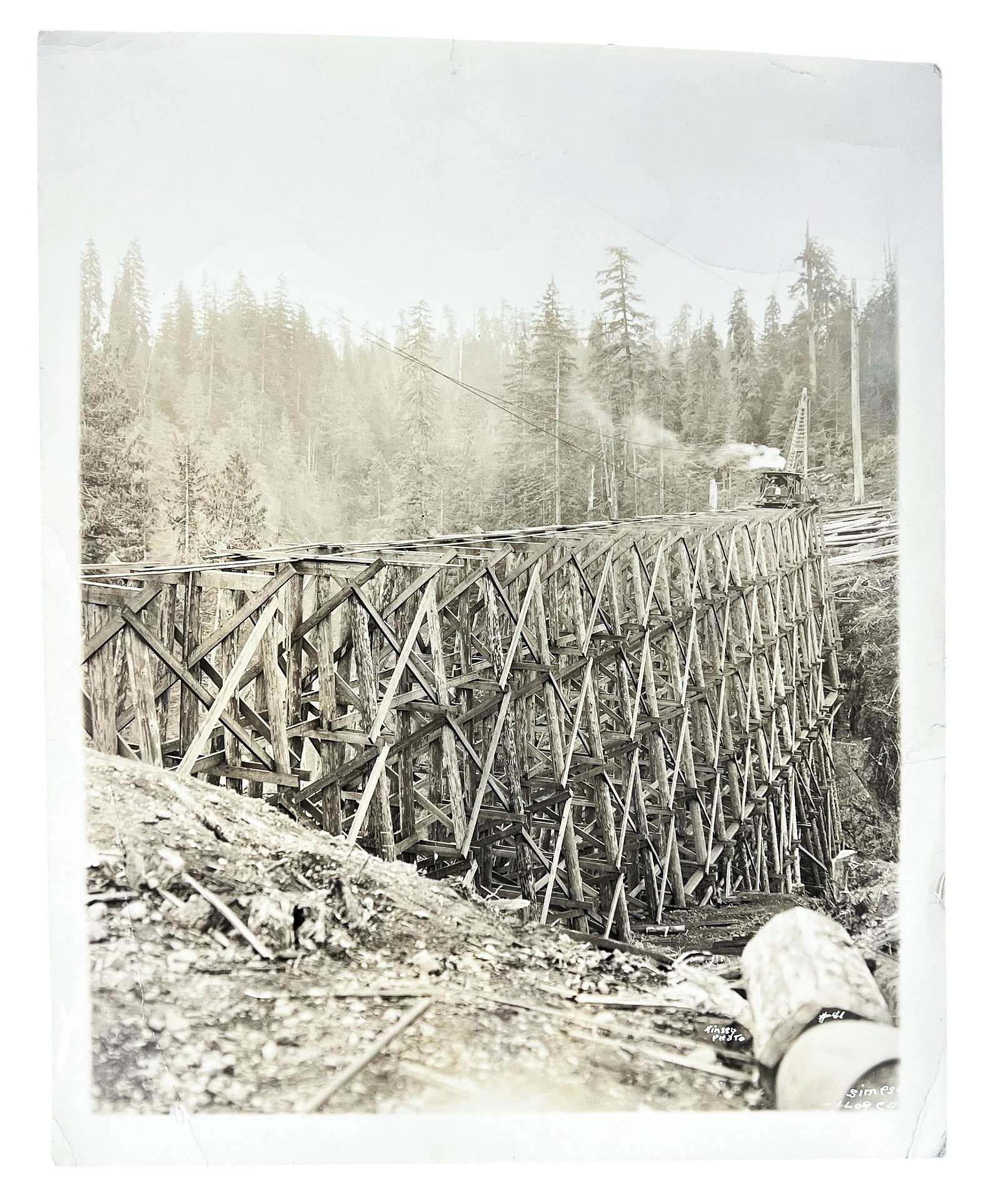 Darius Kinsey "Simpson Log Co." Photograph - 2