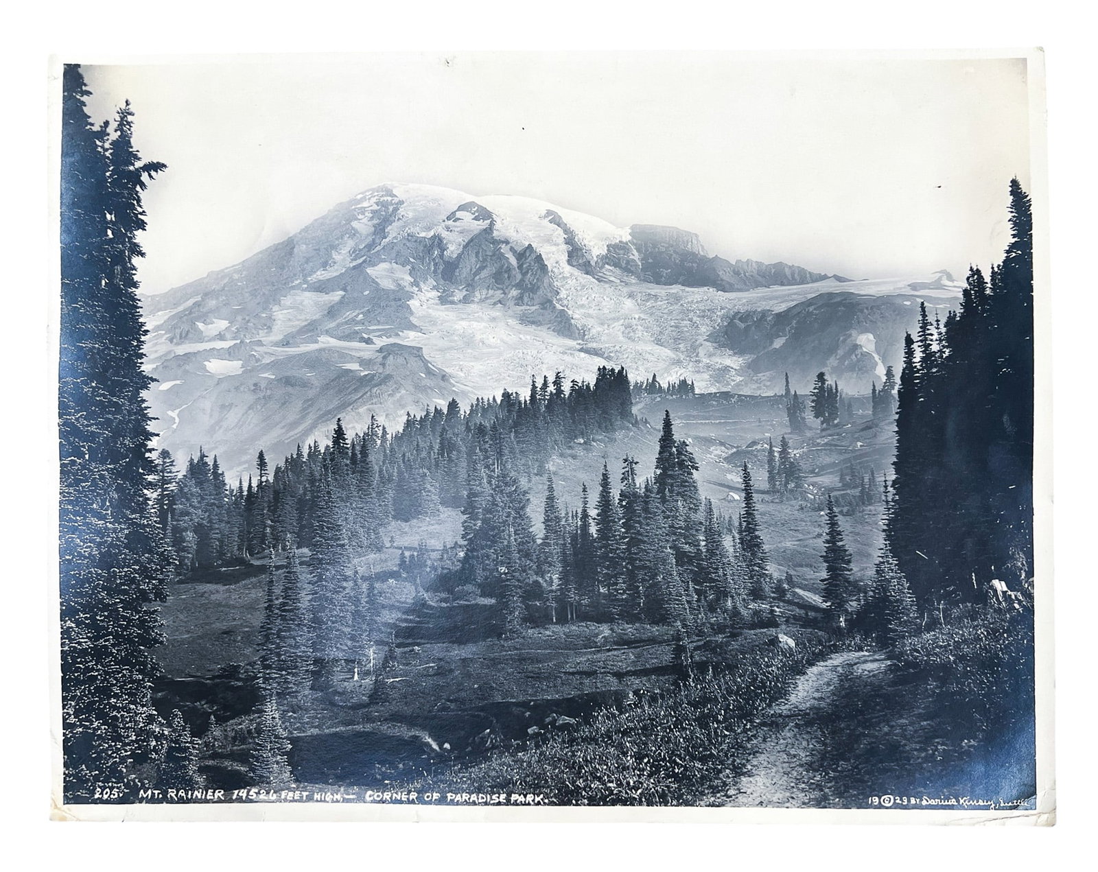 Darius Kinsey "Mount Rainier Corner of Paradise Park" 1923 Photograph - 2
