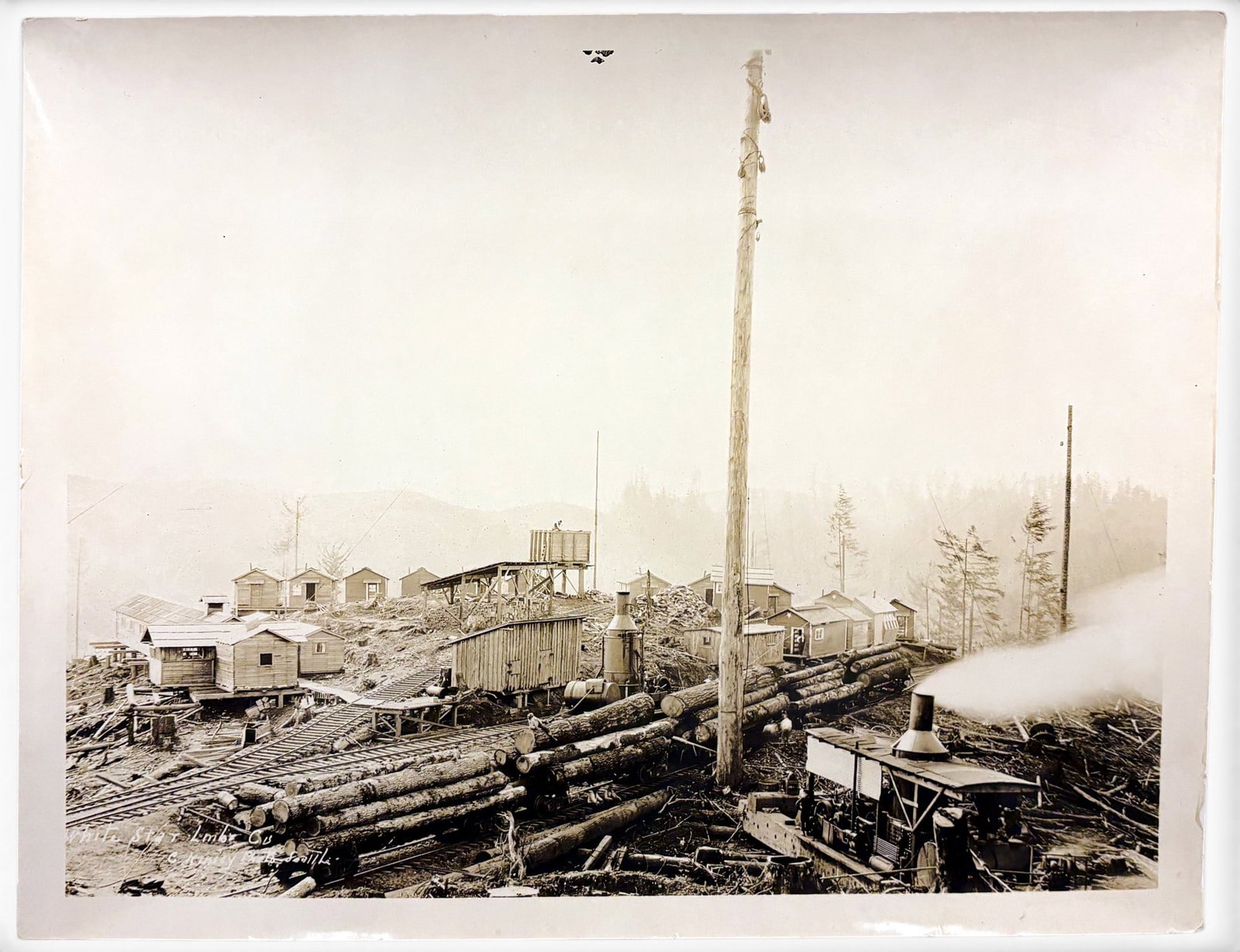 Clark Kinsey "White Star Lumber Co." Photograph: Clark Kinsey (1877-1956 Washington) "White Star Lumber Co." Photograph 11"x14" Sheet. Loose, unframed. Signed lower left. Minor creasing to left and right edges.