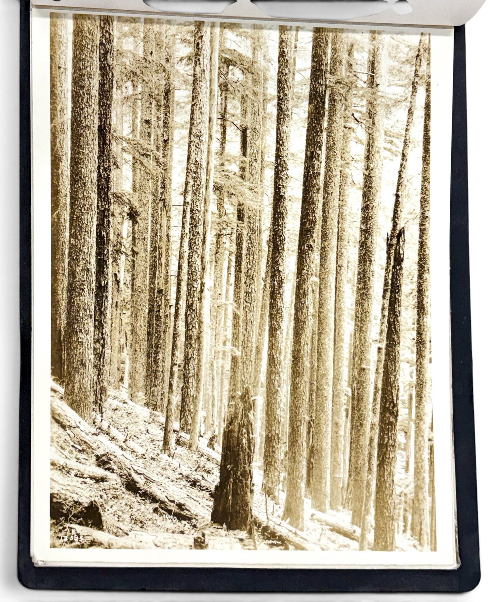 Arthur Prentiss Photography Portfolio Book - 3