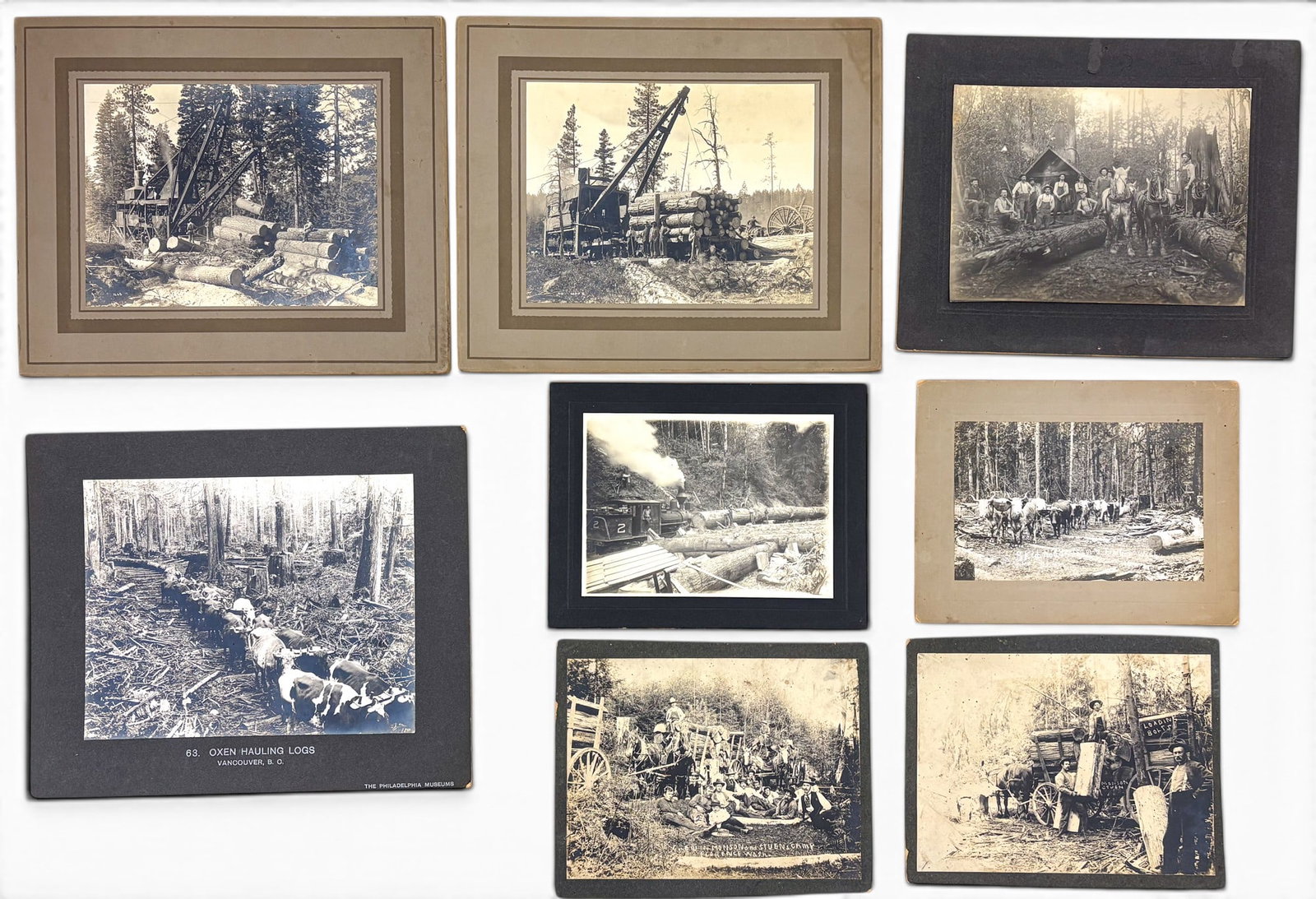 8pc Antique Logging Transportation Albumen Photographs etc. (1 of 1)