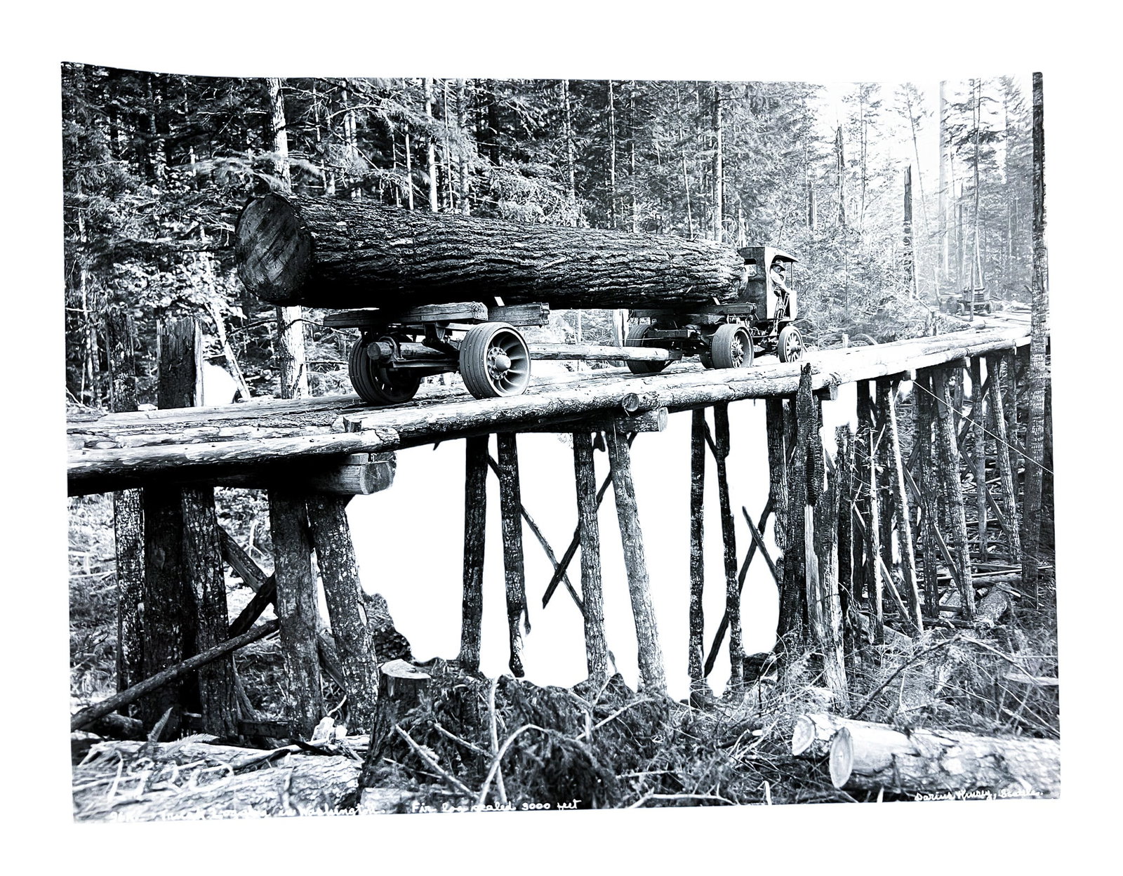 Darius Kinsey "Truck Logging in Washington" 1920 Photograph - 2