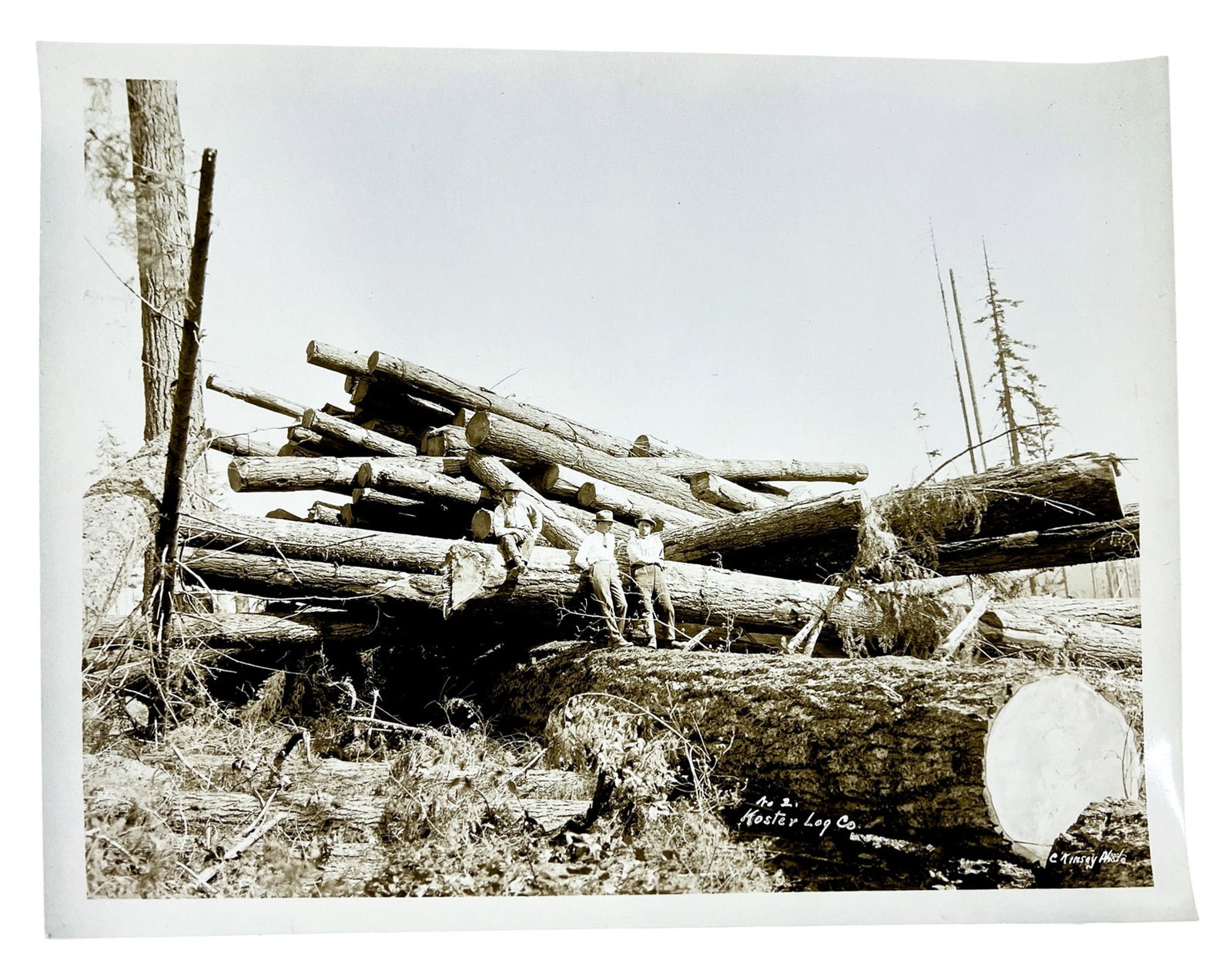 Clark Kinsey "Koster Log Co." Photograph - 2