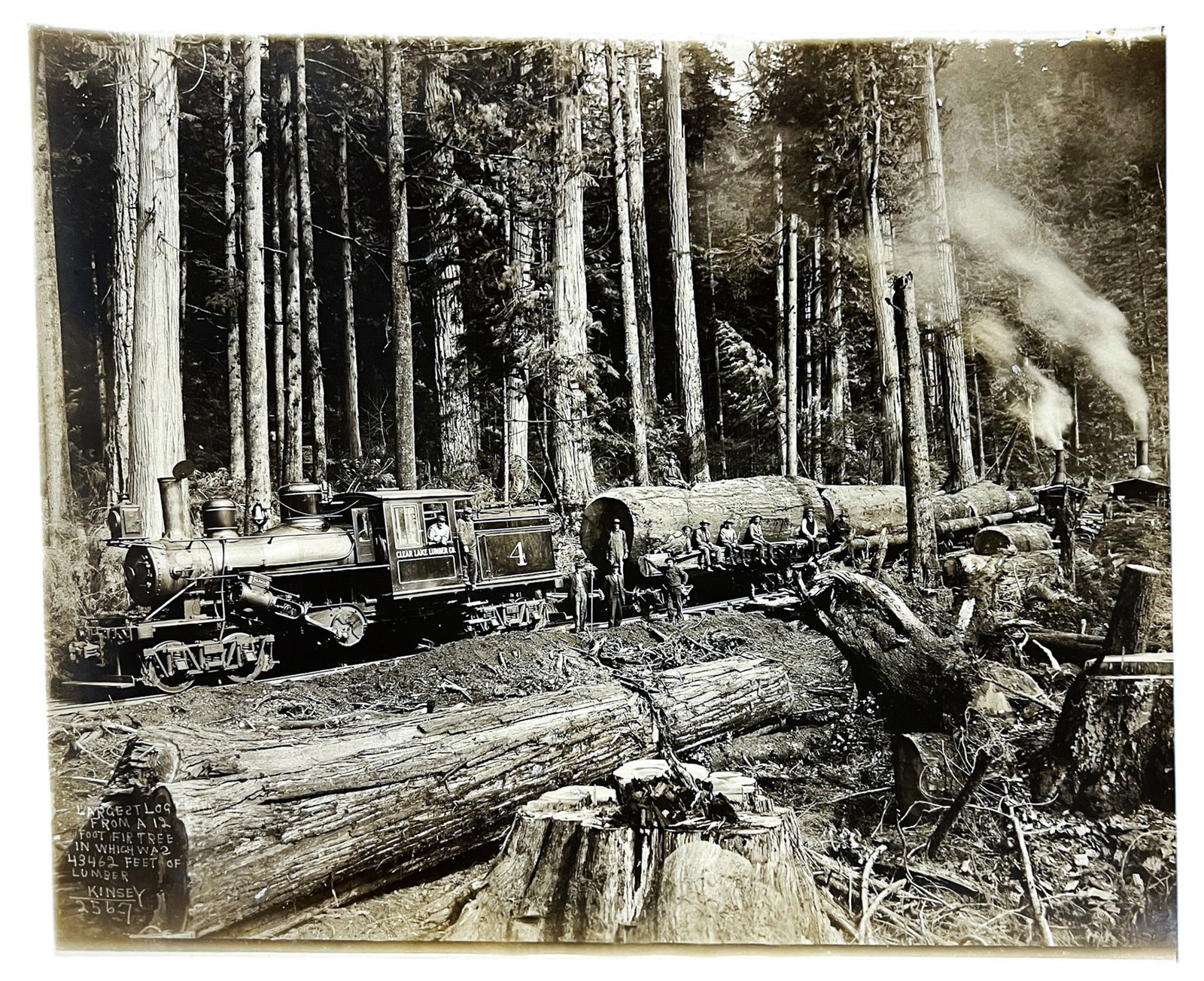 Kinsey Bros. "Largest Log from a 12 Foot Fir Tree..." Photograph - 2