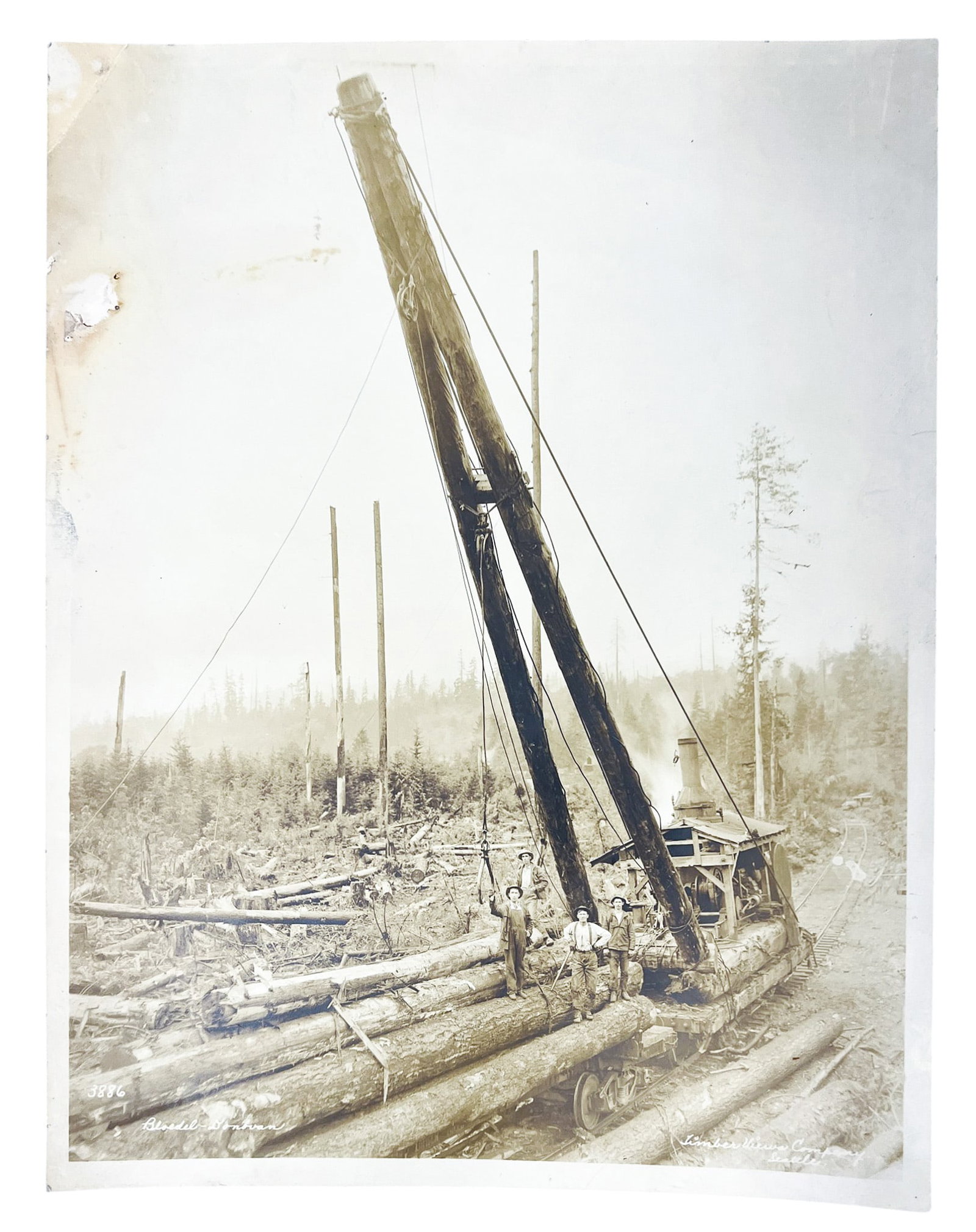 Attributed to Kinsey Bros. "Bloedel-Donovan Timber Views Co." Photograph - 2
