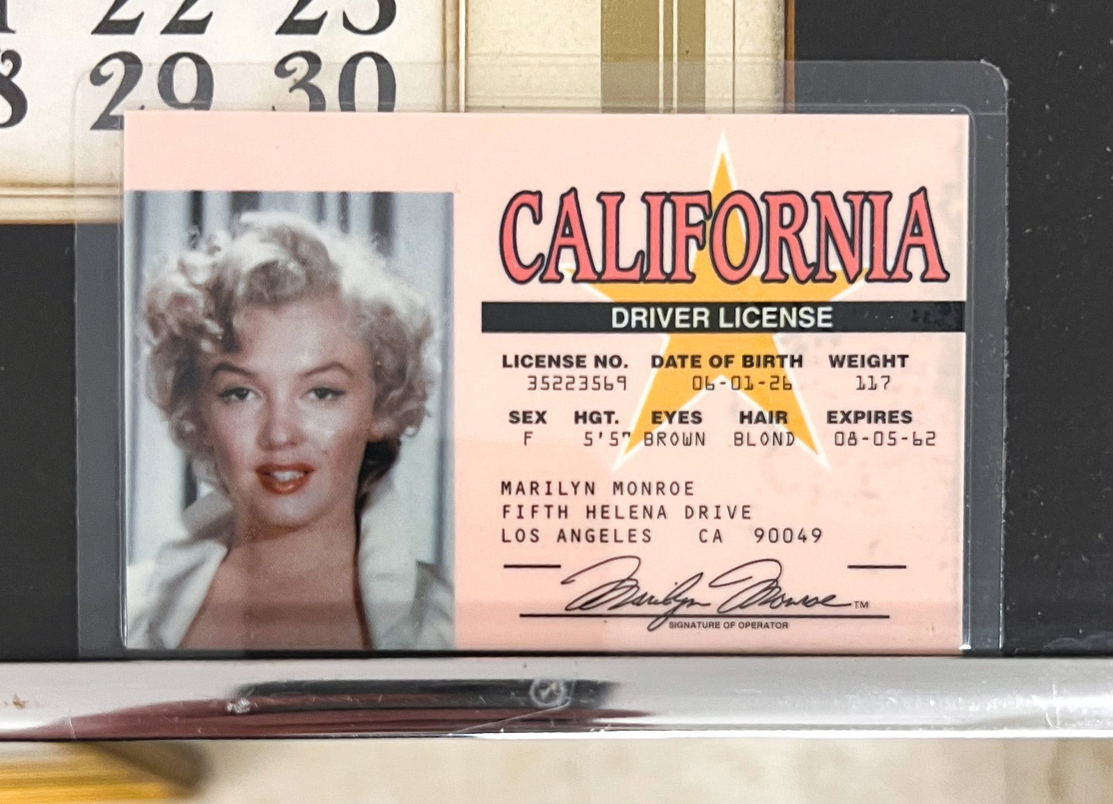 1954 Marilyn Monroe Golden Dreams Calendar w/ Drivers License Souvenir - 2