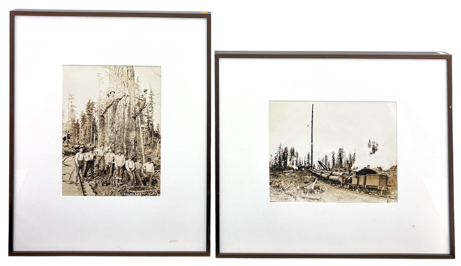 2pc Clark Kinsey Sepia-toned Glossy Photographs: 2pc Clark Kinsey (1877-1956 Washington) Sepia-toned Glossy Photographs. 10"x13" image 20"x24" framed. Signed. Excellent condition. Not examined outside of framing.