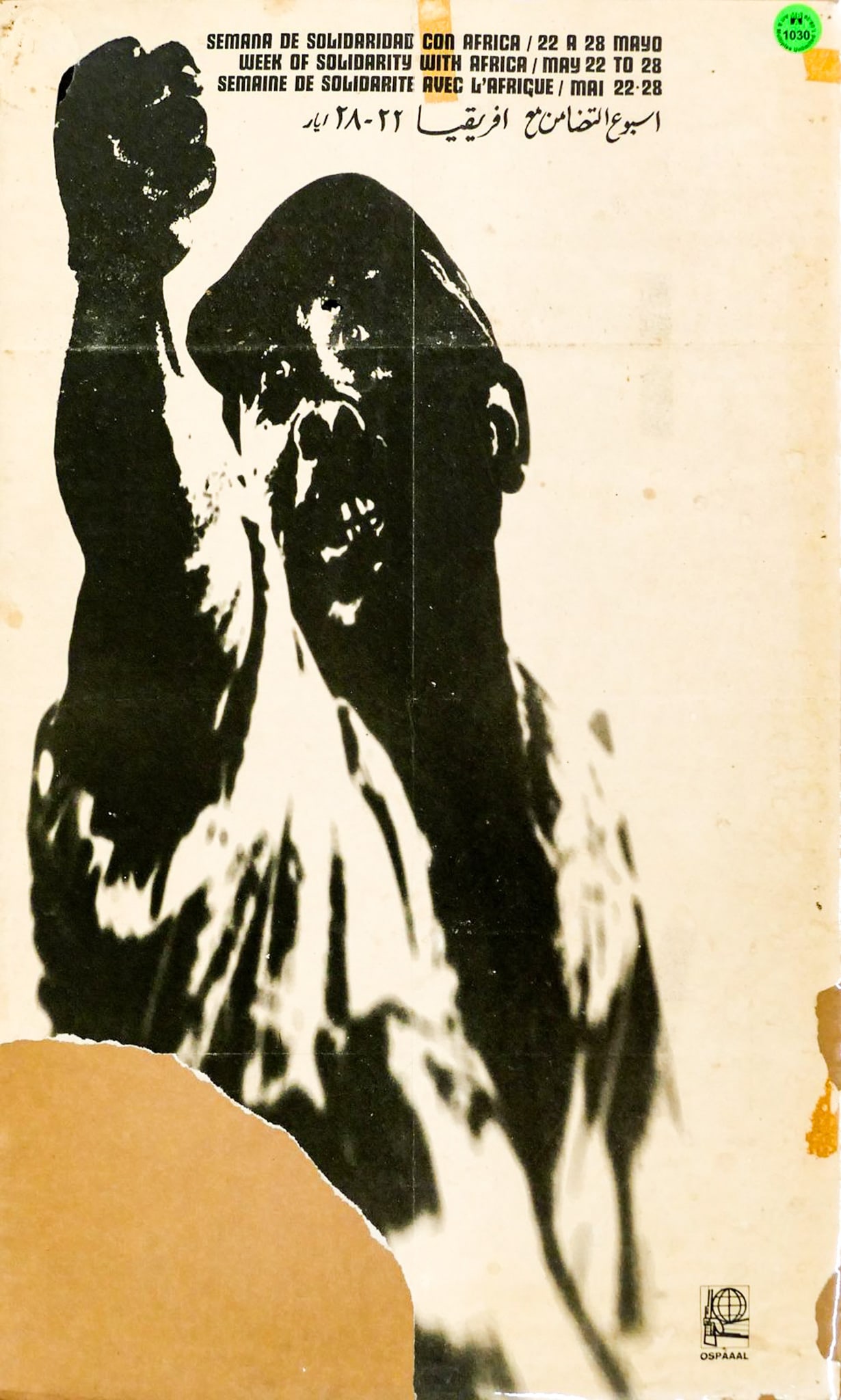 Vintage "Week of Solidarity with Africa" Cuban Political Poster: Vintage "Week of Solidarity with Africa" Cuban Political Poster. Published by the Organization in Solidarity with the People of Africa, Asia and Latin America (OSPAAAL). 21"x13" Loose. Subtle staining