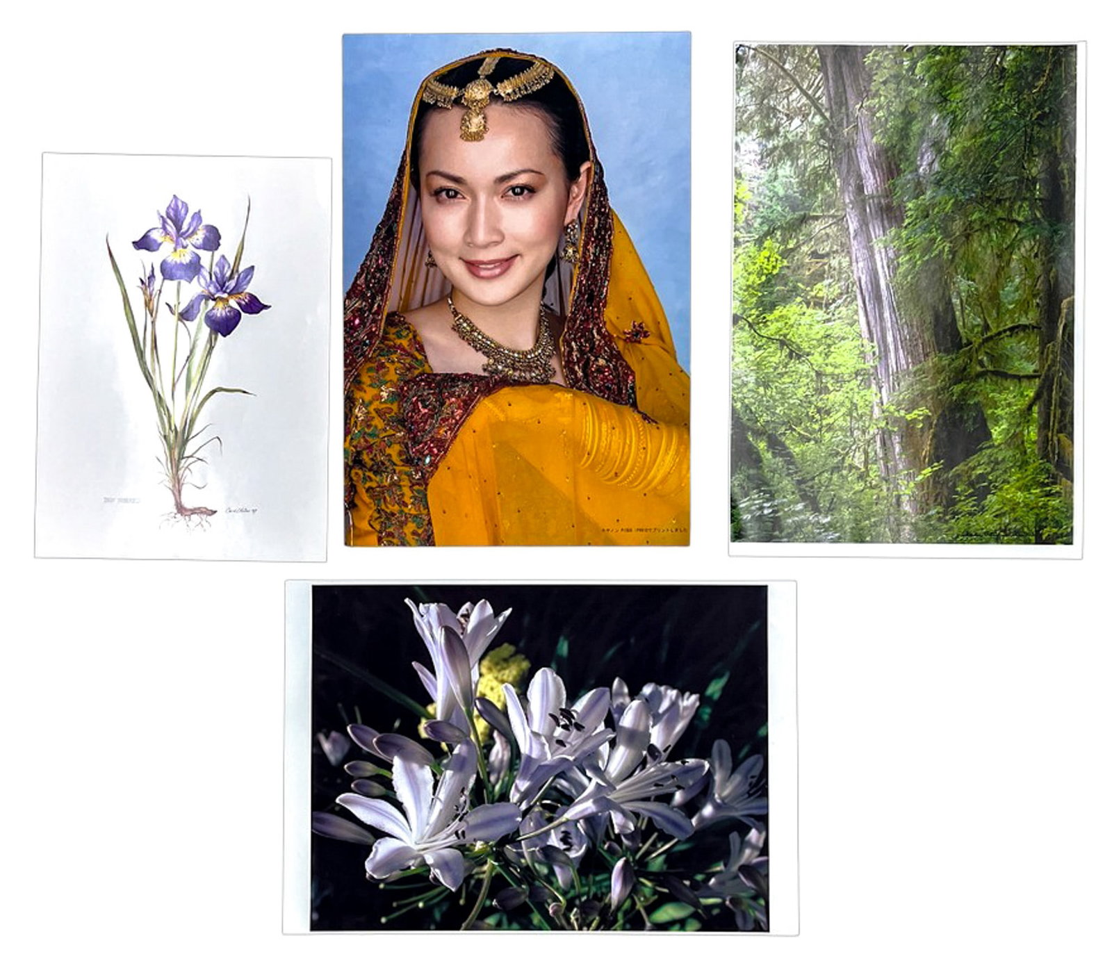 4pc Nature Inkjet Prints etc. (1 of 1)