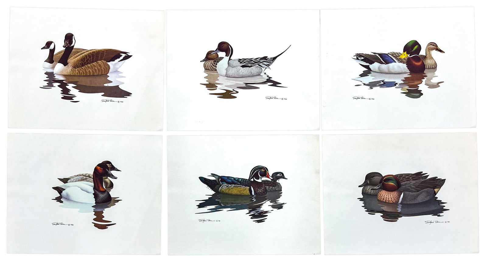 6pc Richard Sloan 1980 Waterfowl Lithograph Suite (1 of 1)