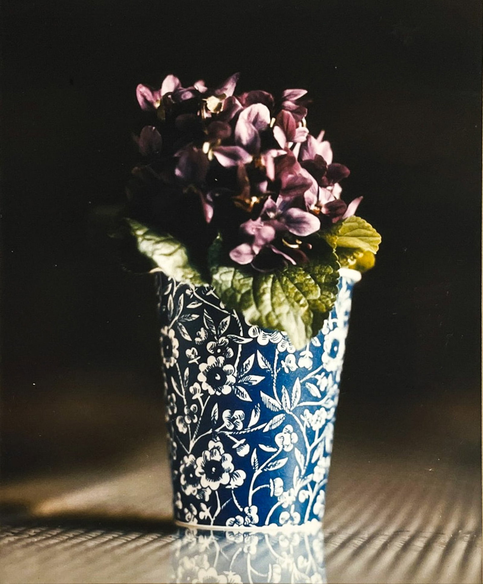 O. Lang "Violets" C-Print (1 of 2)