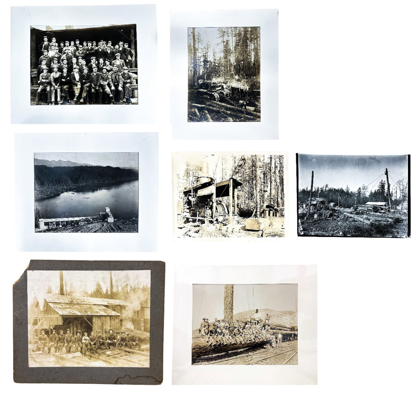 7pc Darius Kinsey & Kinsey Bros. Photographs: 7pc Darius Kinsey (1869-1945 Washington) & Kinsey Bros. Photographs 13"x10" Image 18"x15" Matted Largest. Each signed. Condition varies.