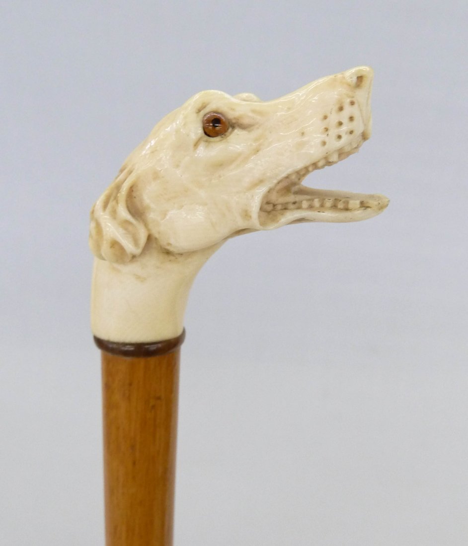 Antique Fine Carved Ivory Dog Head Walking Stick 36''.