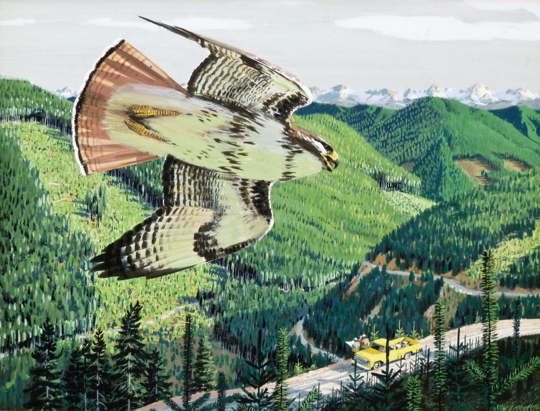 Bruce Bomberger (1918-1980 California) Red Tailed Hawk: Bruce Bomberger (1918-1980 California) Red Tailed Hawk and Pick-Up Gouache on Board 12''x15.75'' Sight. Total framed size 26.5''x29.5''. This group of wildlife illustration art was for use in Weyerhae