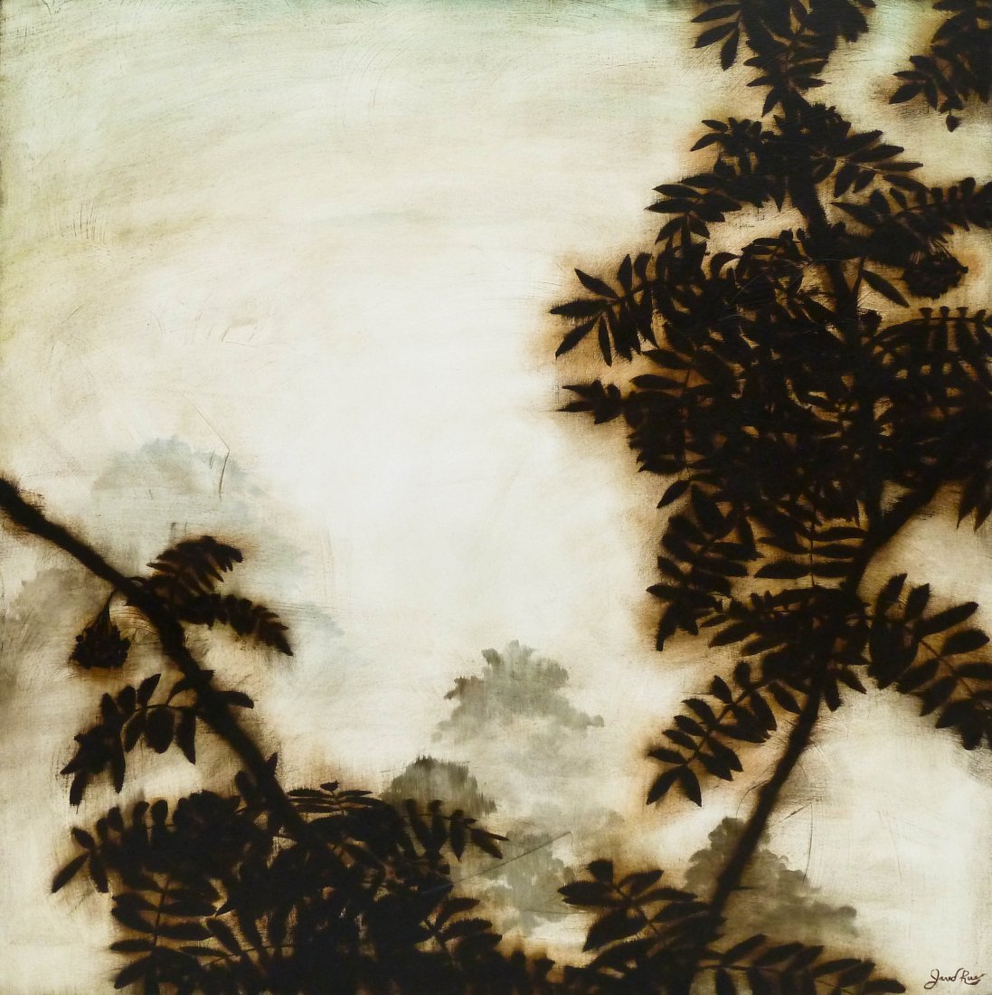 Jared Rue (21st Cent. Washington) ''Ash'' 2006 Oil on: Jared Rue (21st Cent. Washington) ''Ash'' 2006 Oil on Canvas 48''x48'' Image. Silhouetted misty tree branches are very typical of Rue's work. Signed l.r. Woodside Gallery, Seattle label on verso.