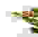 item-39808658=4