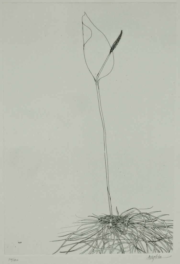 Leonard Baskin (1922-2000 New York) ''Lily'' 1970 (1 of 1)